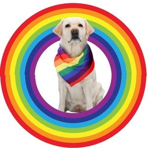 Beautiful, multicolor, dog bandanna. Pride